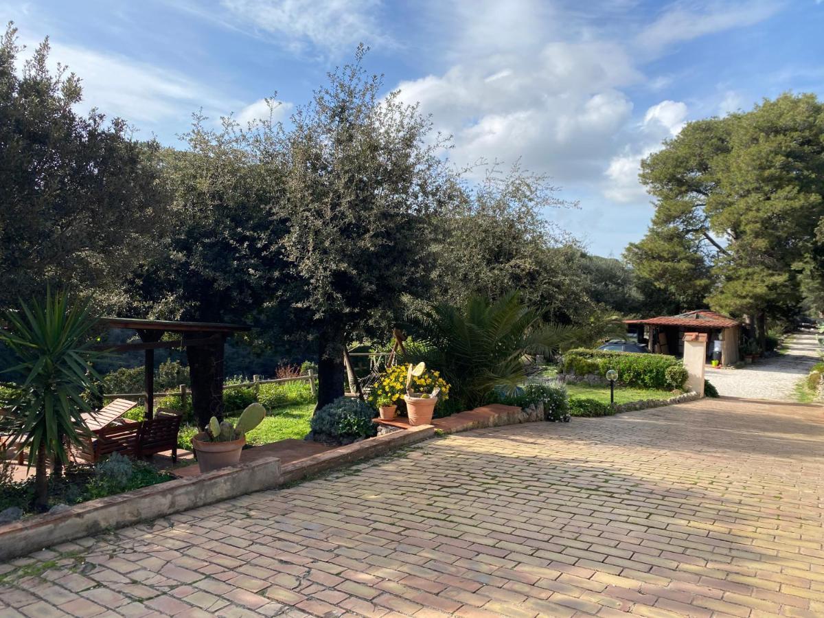 Villa Paradisino Ορμπετέλλο Εξωτερικό φωτογραφία