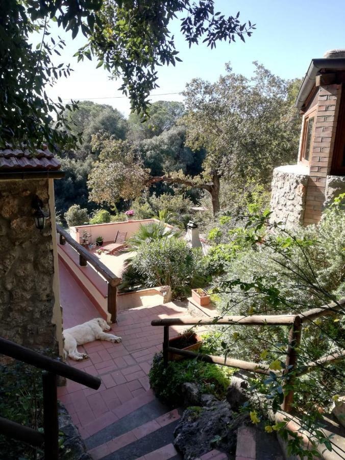 Villa Paradisino Ορμπετέλλο Εξωτερικό φωτογραφία